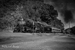 10192024 B&W